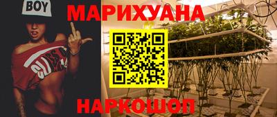 гидропоника Будённовск