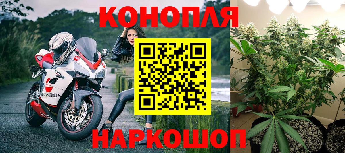 Нефтекумск  Канабис конопля  Каннабис SATIVA & INDICA  Вход с VPN  Бошки Шишки OG Kush  Бошки марихуана семена 